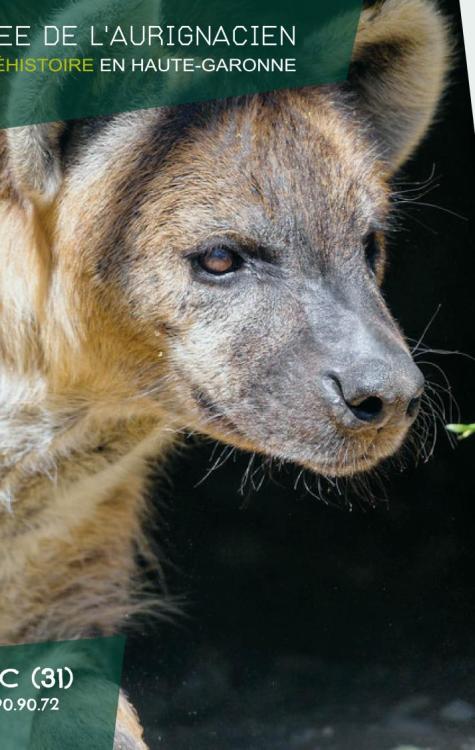Conférence au Musée | Emmanuel DISCAMPS - Vendredi 13 février