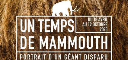 Titre de l'article