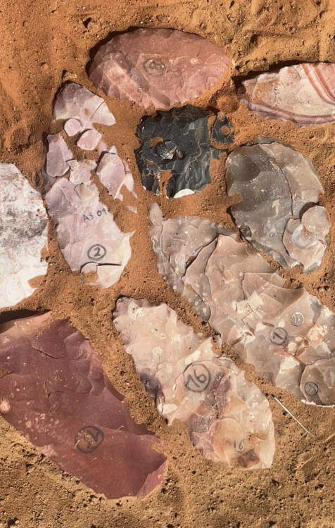 Conférence au Musée : Ça chauffe à la Préhistoire ! | Vendredi 15 mai - 19h