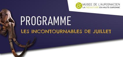 Titre de l'article
