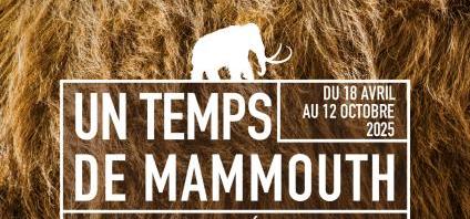 Titre de l'article